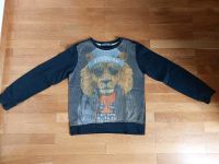 Desigual Pullover Junge Größe 7/8 bzw. 122/128 Saarland - Blieskastel Vorschau