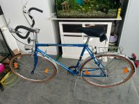 Express Fahrrad /Rennrad -Modell BJ ca.1960 28Zoll 58RH,10Gang Nordrhein-Westfalen - Herne Vorschau