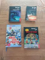 Die Drei ??? - Bücher und ein Ninjago Buch Brandenburg - Beetzsee Vorschau