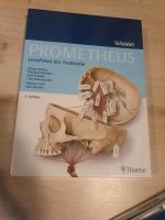 LernPaket der Anatomie Schädel Prometheus Berlin - Charlottenburg Vorschau