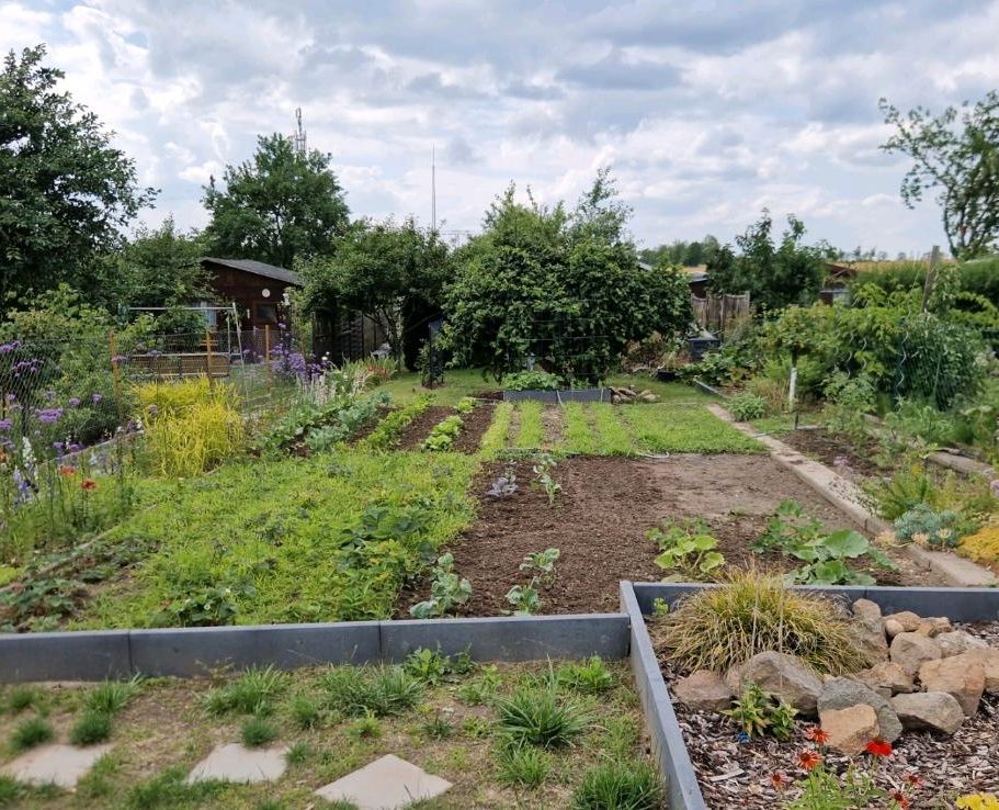 Garten abzugeben 310 qm mit Hütte in Grimma