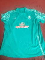 2 x Werder Trainingsshirt Größe XL Obervieland - Habenhausen Vorschau