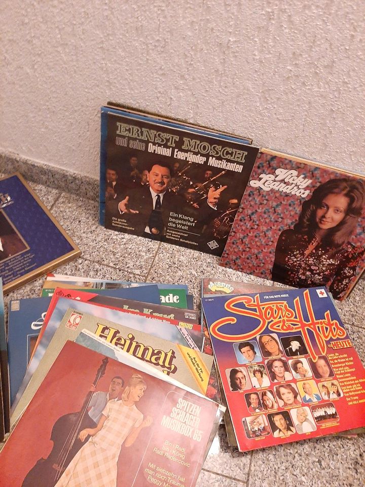 50 Schallplatten in Limburg