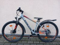 Kinderfahrrad FOCUS Whistler, Mountainbike, 27,5 ", Jugendfahrrad Sachsen - Pegau Vorschau