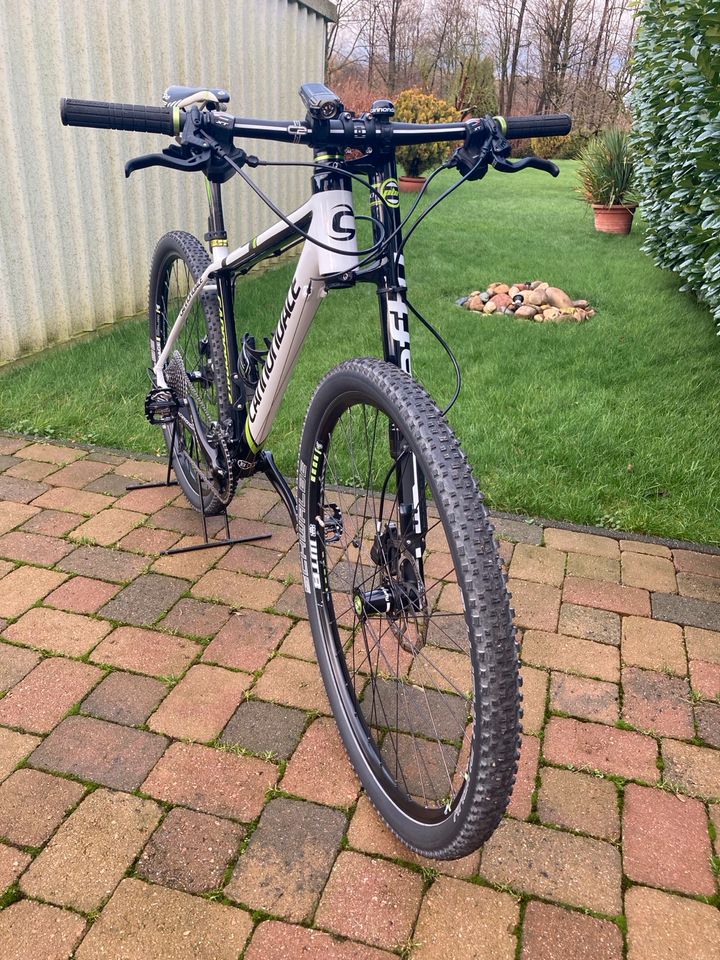 Cannondale Lefty F 29 Carbon in Gladbeck