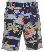 Tommy Hilfiger Shorts, Größe 30, Neu Bayern - Roth Vorschau