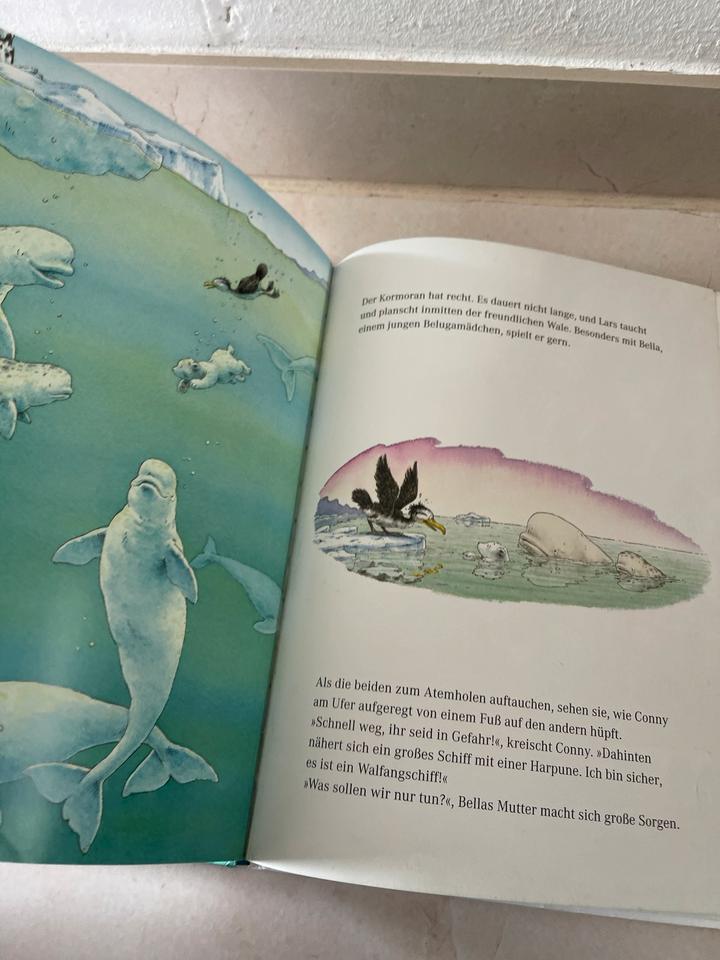 Kleiner Eisbär in der Walbucht von Beer Bilderbuch /2 in Nürnberg (Mittelfr)