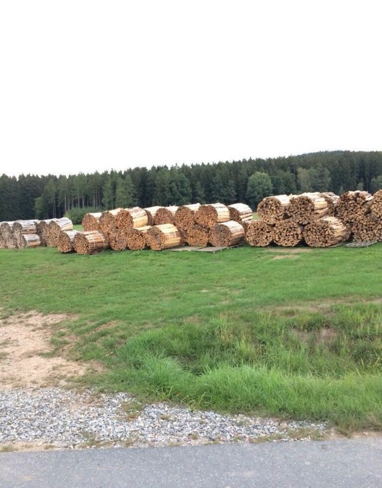 Brennholz Fichte/Buche ofenfertig, trocken, Top Qualität! in Treffelstein