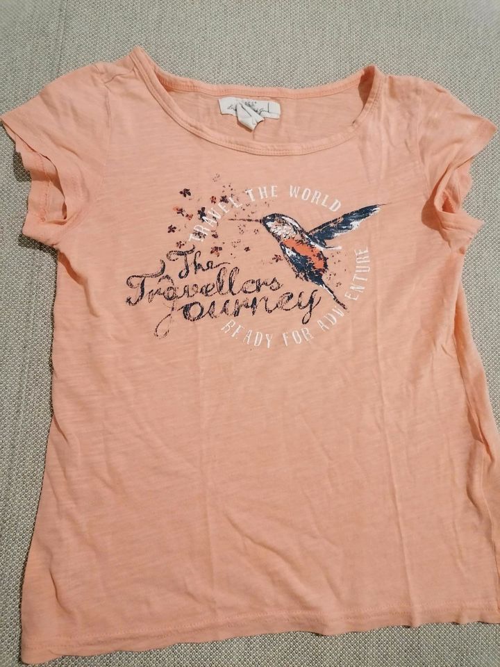 H&M T-Shirt mit Colibri Vogel aprikot, Gr. 134-140 in Berlin