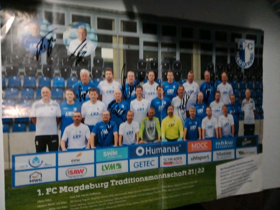 Poster vom FC Magdeburg in Magdeburg