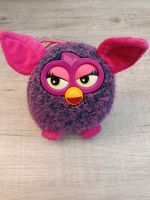 Kuscheltier Furby Sachsen - Zwickau Vorschau