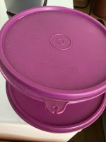 Tupperware boxen Kr. Dachau - Dachau Vorschau