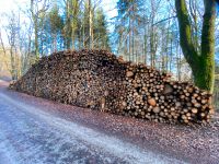 Holz Fichte kompletter Polter Industrieholz Brennholz Bayern - Burkardroth Vorschau