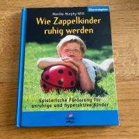Wie Zappelkinder ruhig werden: Spielerische Förderung Bayern - Tiefenbach Kr Passau Vorschau