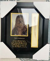 STAR WARS - Rarität - Chewbacca Haar Wandsbek - Hamburg Poppenbüttel Vorschau