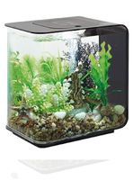 Oase Biorb Flow 15l Nano Aquarium Bayern - Treuchtlingen Vorschau