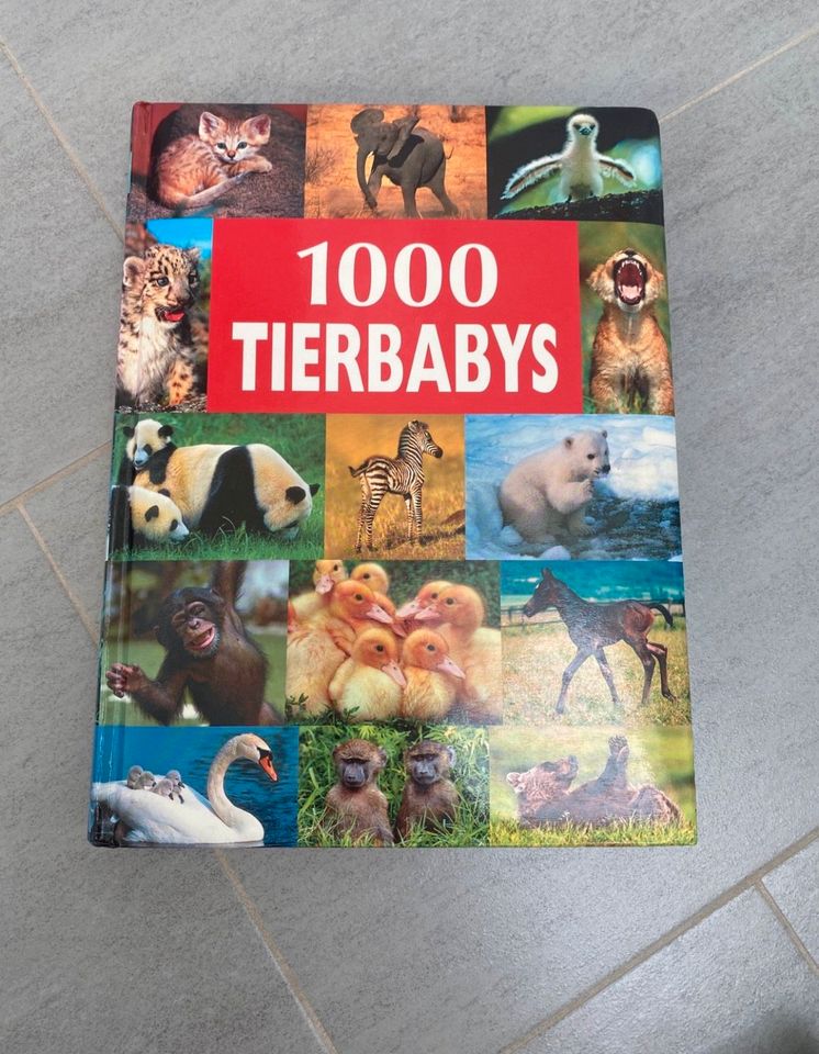 „1000 Tierbabys“ Buch, Sachliteratur & Kinderbuch in Haan