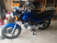 Yamaha ybr 125 Mecklenburg-Strelitz - Landkreis - Woldegk Vorschau