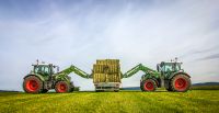 Engagierter Landwirt sucht neue Herausforderung Niedersachsen - Cloppenburg Vorschau
