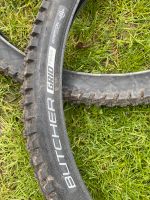 2 reifen Butcher / Eliminator reifen Maxxis Continental schwalbe Nordrhein-Westfalen - Anröchte Vorschau