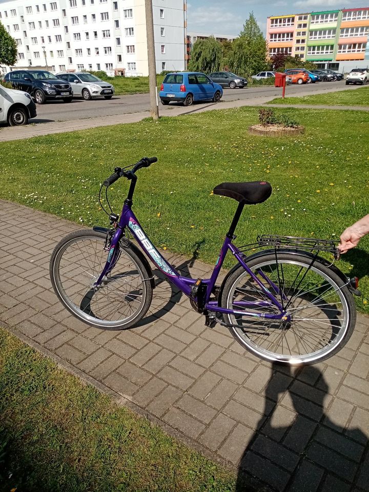 26er Damenfahrrad in Angermünde