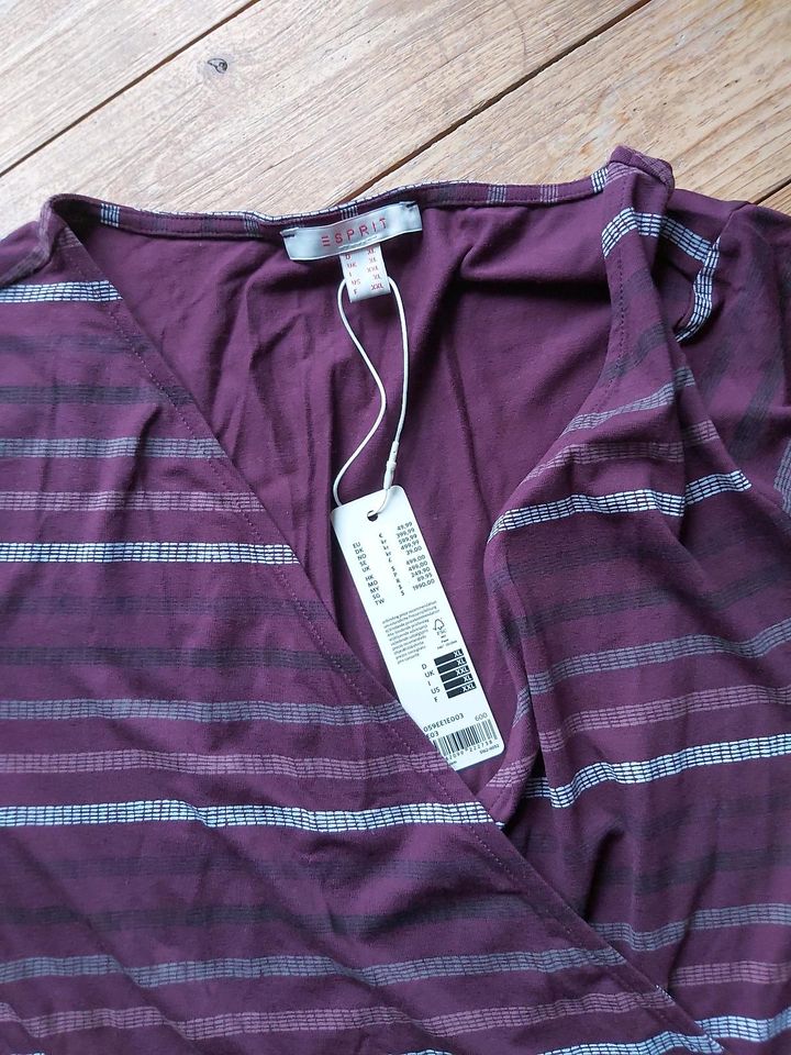 NEU Jersey-Kleid Esprit Gr.L (XL lt.Etikett),bordeaux in Zirndorf