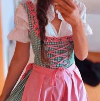 Dirndl Tracht Kleid rosa grün karriert Bluse 34 Nordrhein-Westfalen - Hamm Vorschau