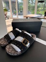 Coach Sandalen Ally Suede Gr. 38 NP 195€ wNeu Nordrhein-Westfalen - Bad Oeynhausen Vorschau