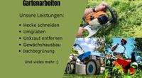 Gartenarbeiten/ Heckeschneiden Sachsen-Anhalt - Magdeburg Vorschau