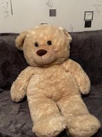 Teddybär im Sehr guten Zustand Nordrhein-Westfalen - Telgte Vorschau