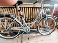 FAHRRAD  ALU CITY STAR 28 ZOLL Niedersachsen - Adelebsen Vorschau