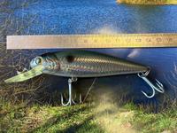 Wobbler Angeln Spinnfischen Raubfisch Hecht Zander Jaxon Nordrhein-Westfalen - Preußisch Oldendorf Vorschau