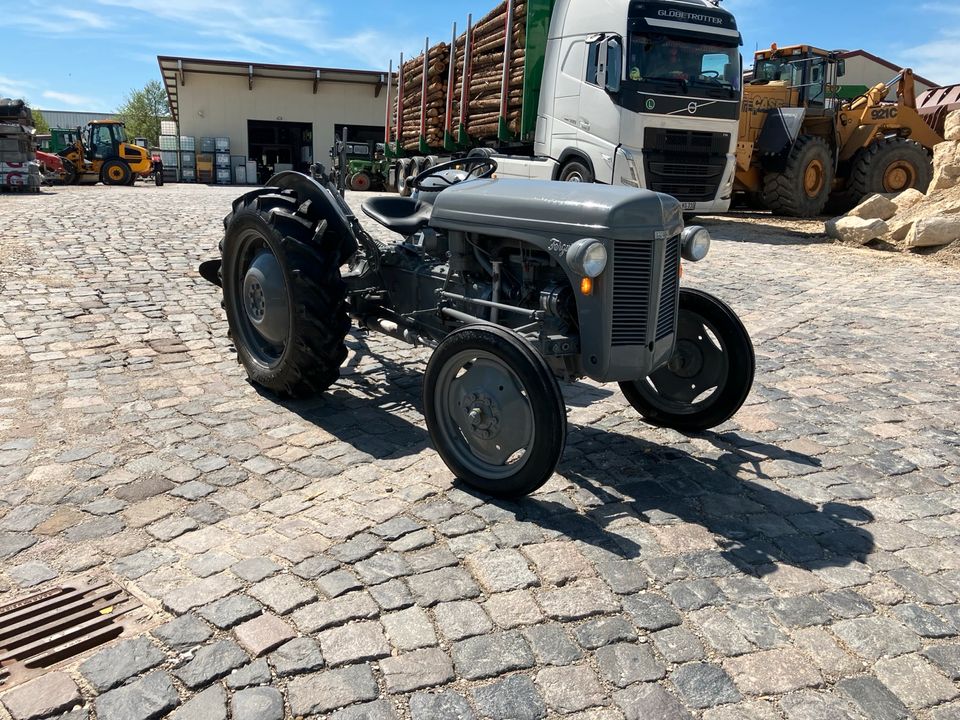 Massey Ferguson TE 20 Benzin Oldtimer Traktor Pflug in Mainburg