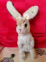 Steiff Hase Nürnberg (Mittelfr) - Mitte Vorschau