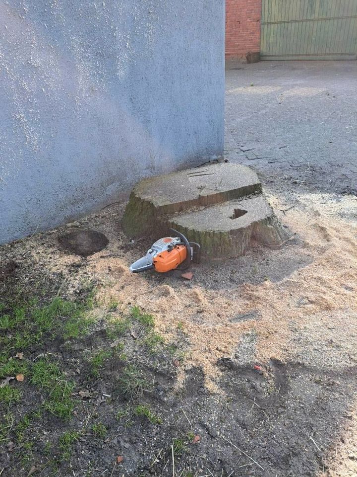 Wurzeln fräsen, Stubbenfräse, Wurzel entfernen, Stubbenfräsen in Centrum