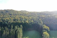 Waldstück mit 90% Buchenanteil bei Kirchensittenbach Bayern - Kirchensittenbach Vorschau