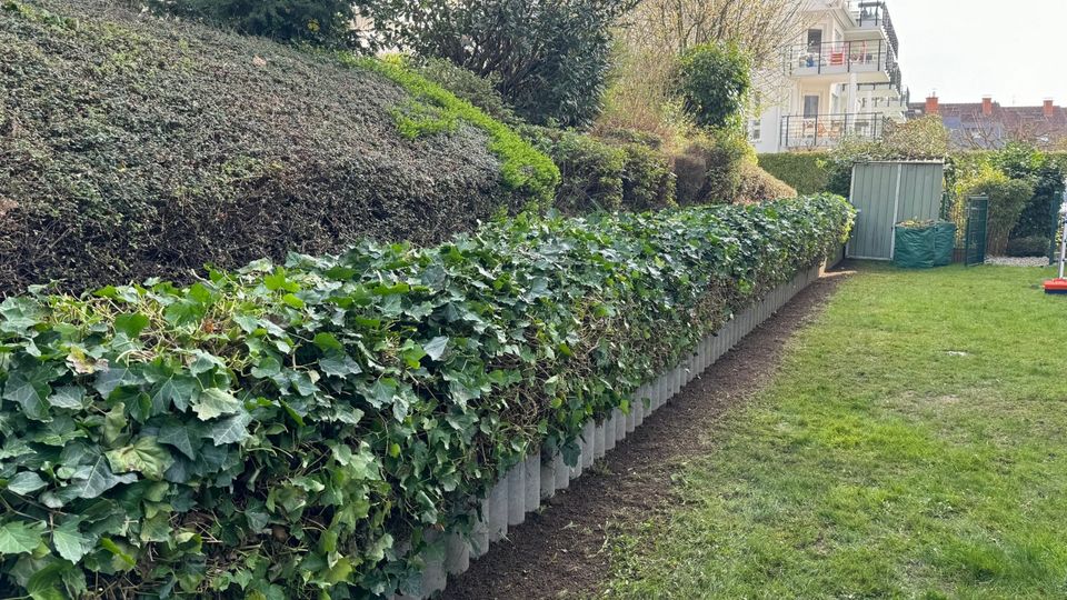 Wir bieten Gartenarbeit! ( Alles was zur Gartenarbeit gehört) in Taunusstein