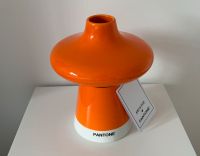 H&M Home Pantone Vase aus Steingut Hessen - Wiesbaden Vorschau