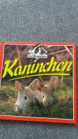 Kaninchenbuch Sachsen-Anhalt - Jessen (Elster) Vorschau