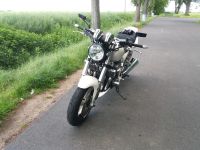 Yamaha XJR 1300 Rostock - Südstadt Vorschau