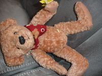 Sunkid Teddybär neu & unbespielt ca 25cm kuschelweich Rheinland-Pfalz - Kaiserslautern Vorschau