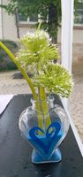 Kleine Vase mit Dekosand Baden-Württemberg - Adelberg Vorschau