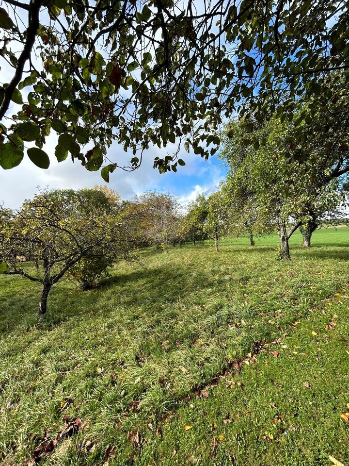 Ländliches Paradies an der Schweizer Grenze: Traumhaftes Eigenheim mit separater Ökonomieteil und großem Grundstück in Albbruck-Buch in Albbruck