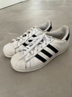 ADIDAS Superstar Gr. 36 2/3 Baden-Württemberg - Notzingen Vorschau