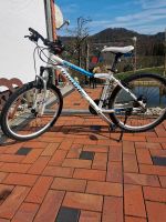 Mountainbike, MTB, Fahrrad, Haibike 26 zoll weiß /blau Bayern - Heiligenstadt Vorschau