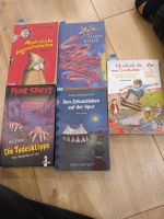 5x Kinder Jugend Bücher Niedersachsen - Bad Laer Vorschau