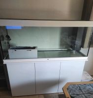 Juwel Rio 450 LED Komplett Aquarium mit Unterschrank Heiligengrabe - Blumenthal Vorschau