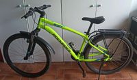 Mountainbike Rockrider ST100 Schleswig-Holstein - Elmenhorst Kr Stormarn Vorschau