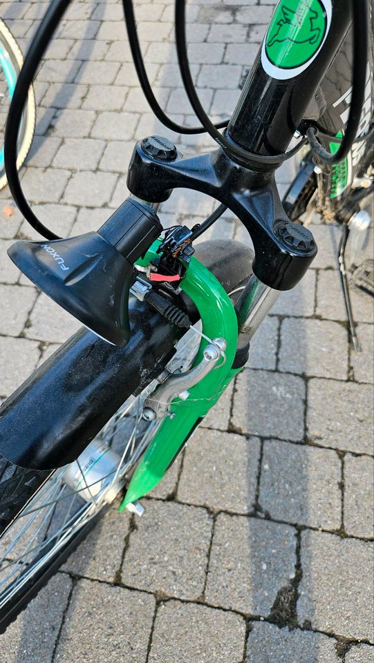 Fahrrad  Pegasus Avanti in Bottrop