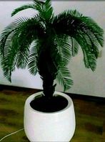 Große Phönix Palme in weißen Keramik Topf künstlich Nordrhein-Westfalen - Gummersbach Vorschau